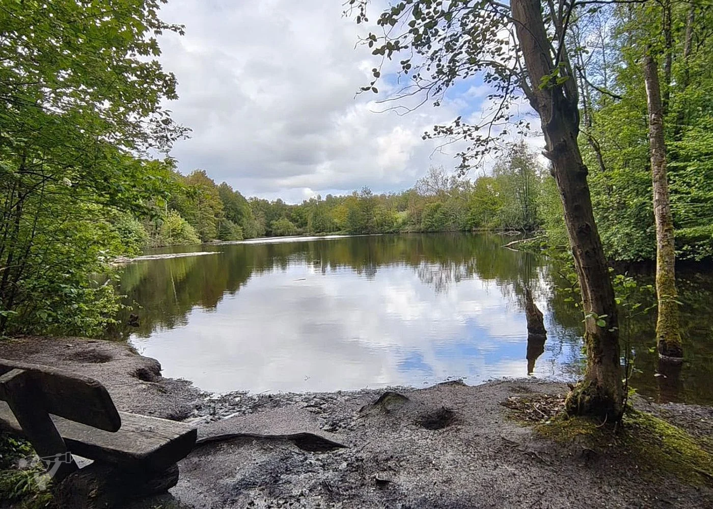 Naturschutzgebiet Raakmoor – Foto 5