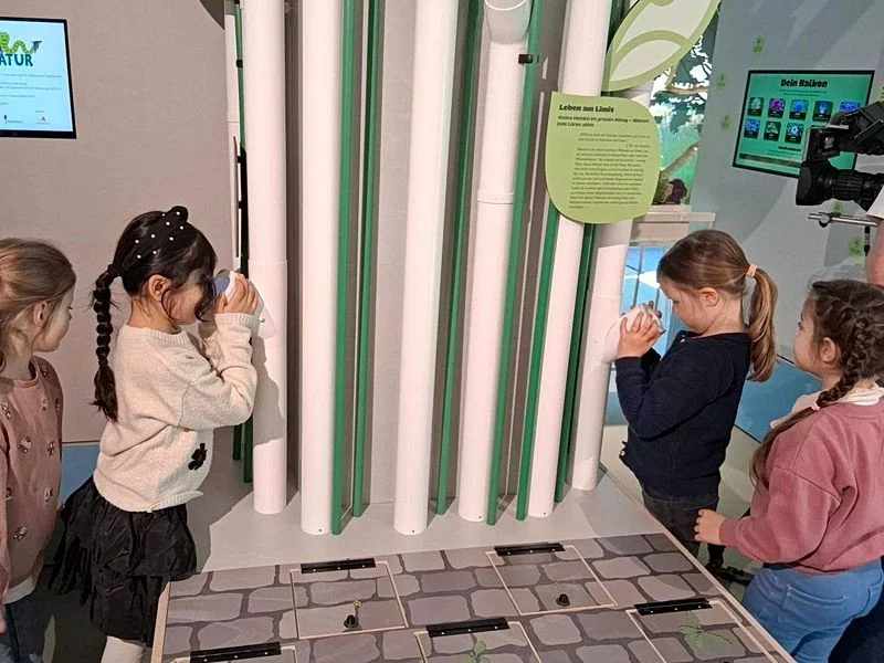 NaturRaum HafenCity - Zwischen Elbe und Asphalt – Bild 4