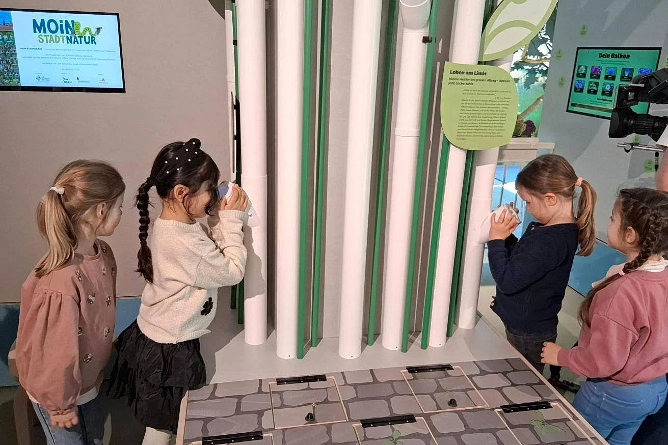 NaturRaum HafenCity - Zwischen Elbe und Asphalt