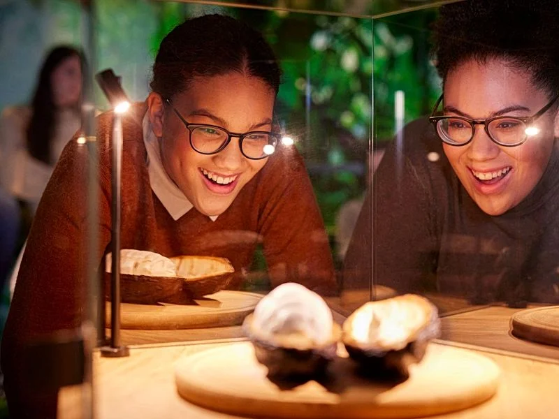 Schokotour durch das Chocoversum – Bild 6