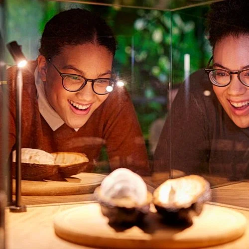 Schokotour durch das Chocoversum