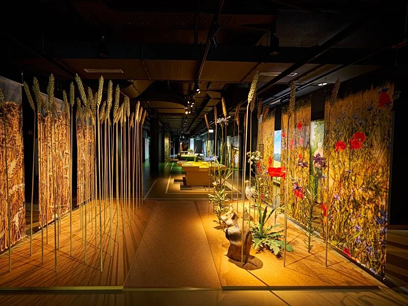 Botschaft der Wildtiere – Bild 5