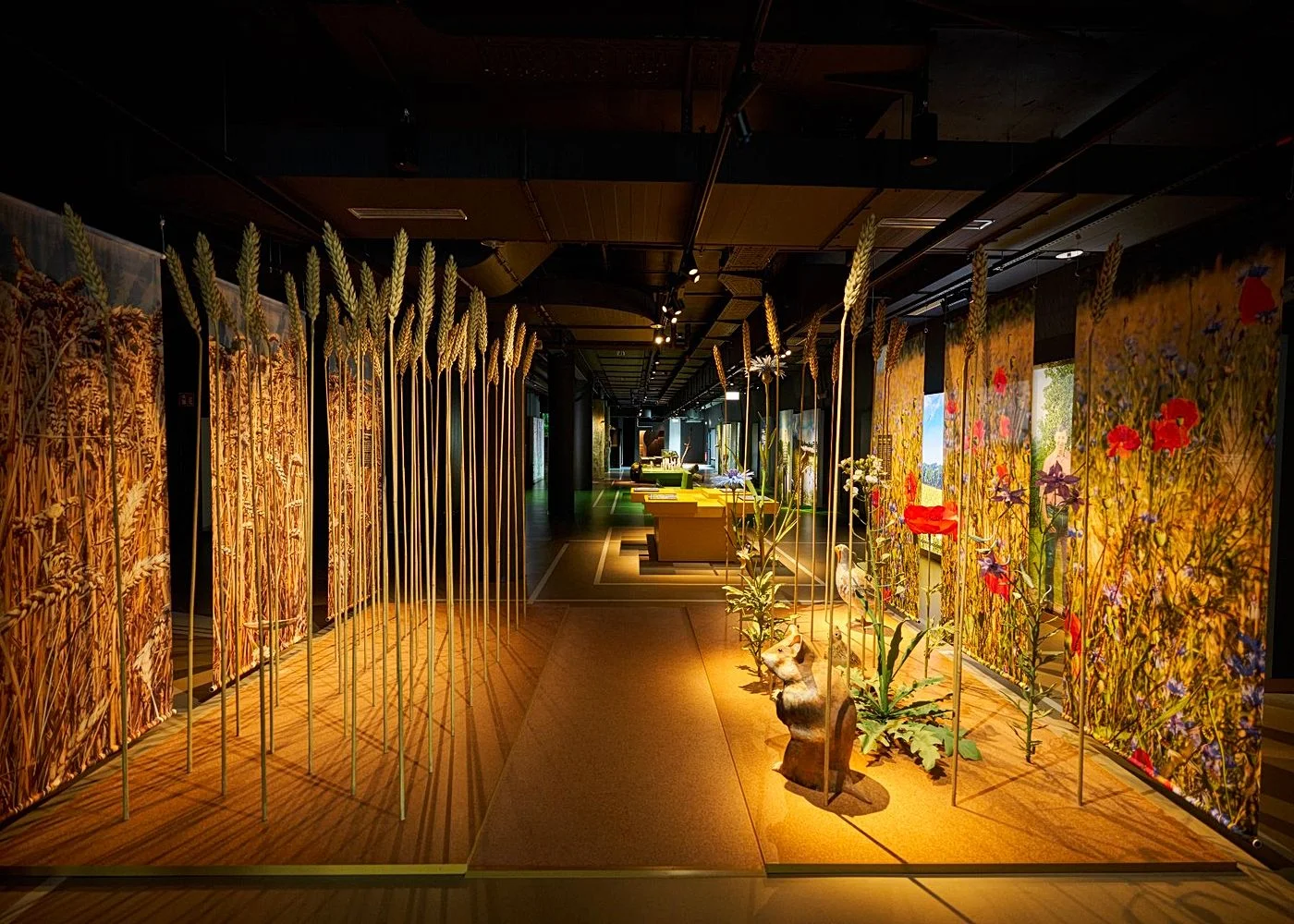 Botschaft der Wildtiere – Foto 5