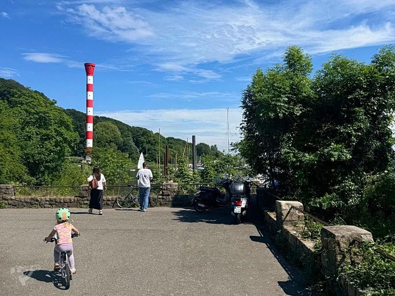 Baumschaukeln an der Elbe – Bild 19