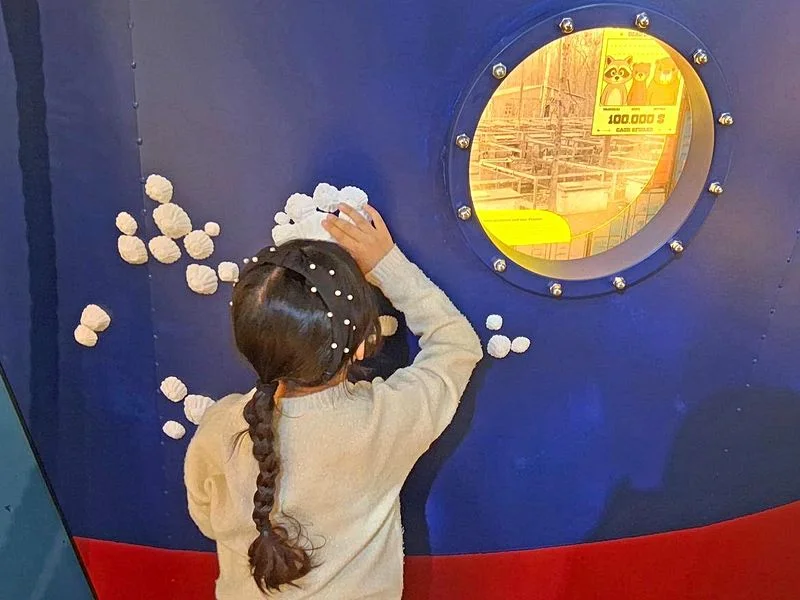 NaturRaum HafenCity - Zwischen Elbe und Asphalt – Bild 2