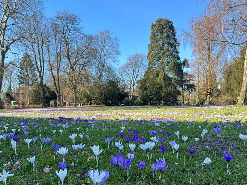 Spielplatz im Jenischpark – Bild 8