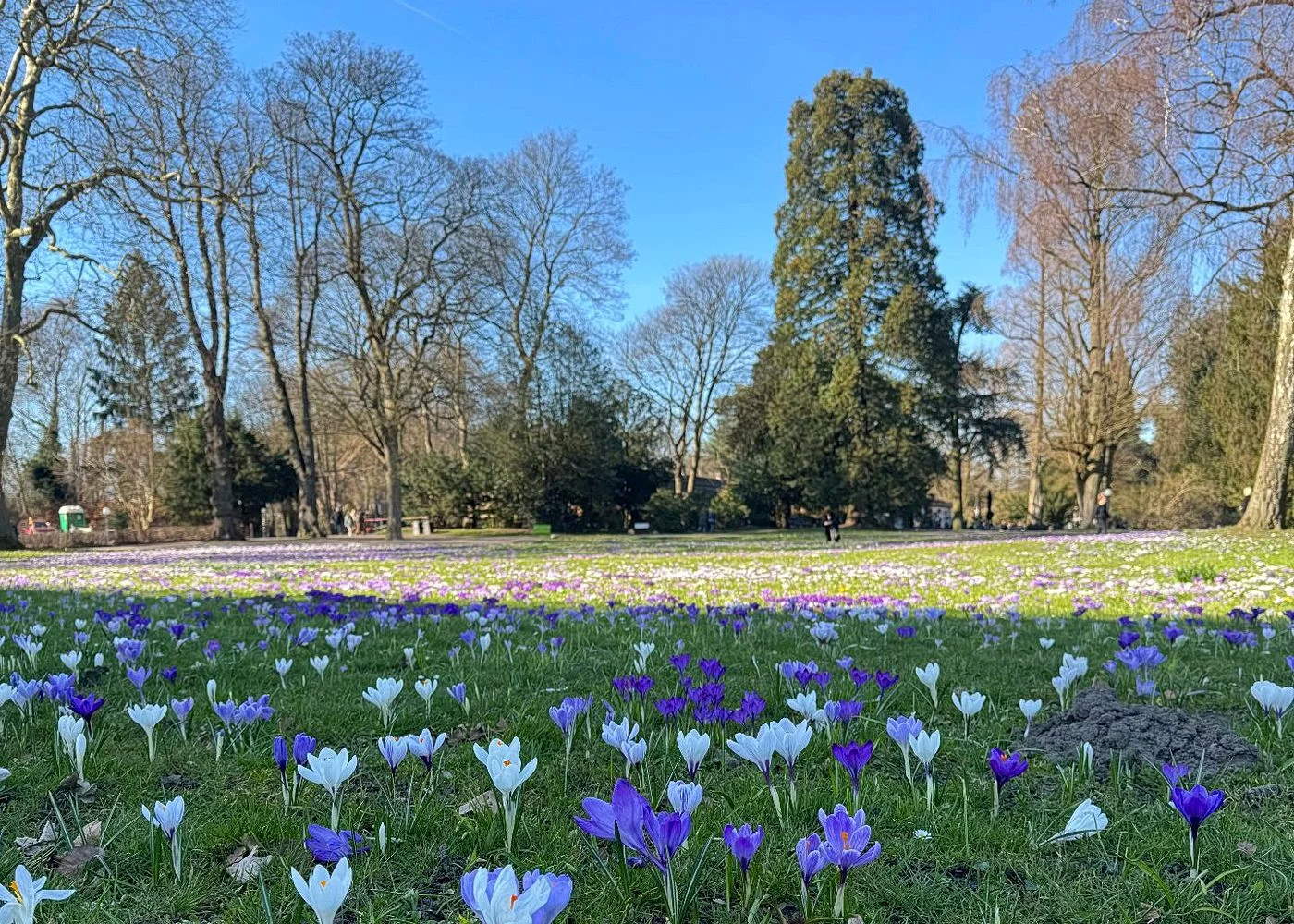 Spielplatz im Jenischpark – Foto 8