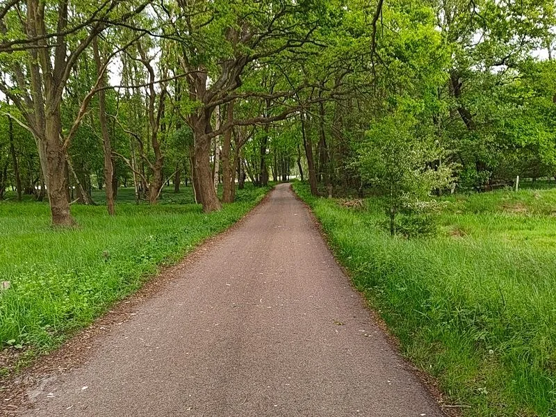 Boberger Niederung und Strand – Bild 7