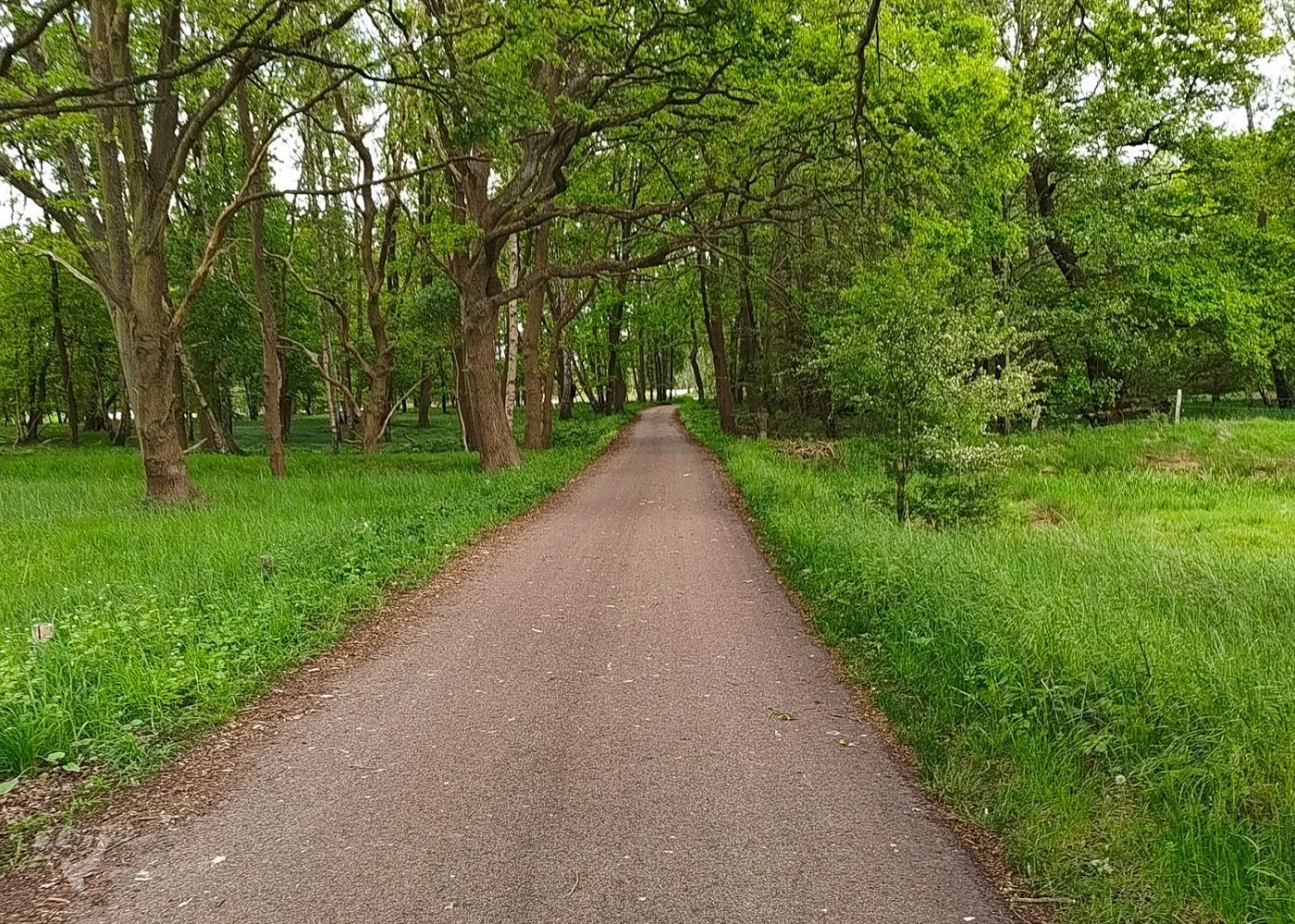 Boberger Niederung und Strand – Foto 7