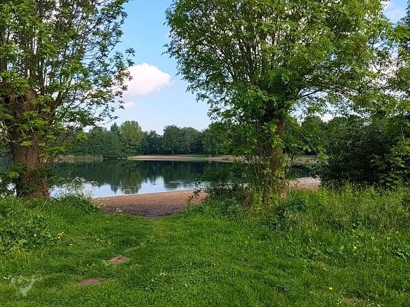 Wasserpark Dove-Elbe – Bild 16
