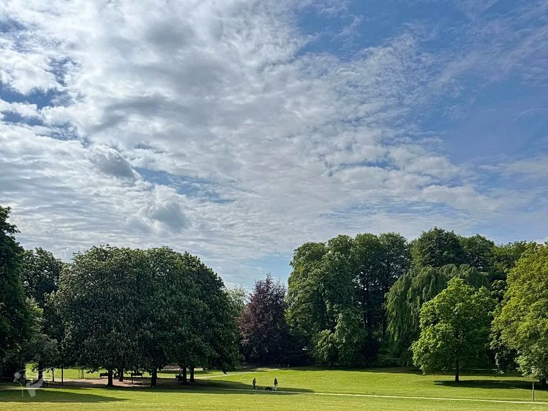 Spielplatz im Hesse Park – Bild 20