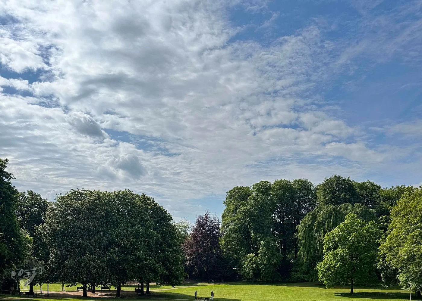 Spielplatz im Hesse Park – Foto 20