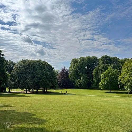 Spielplatz im Hesse Park