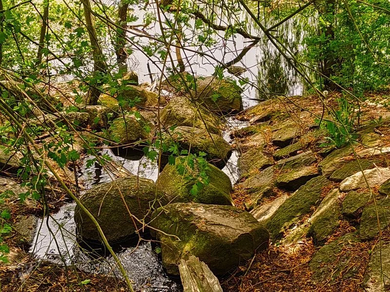 Öjendorfer Park – Bild 16