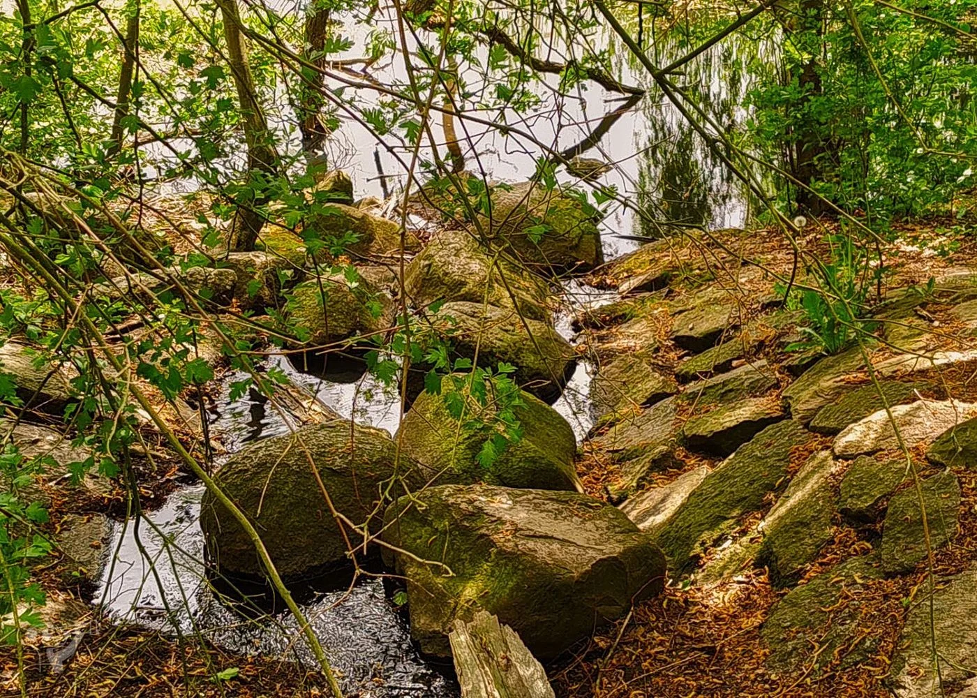 Öjendorfer Park – Foto 16