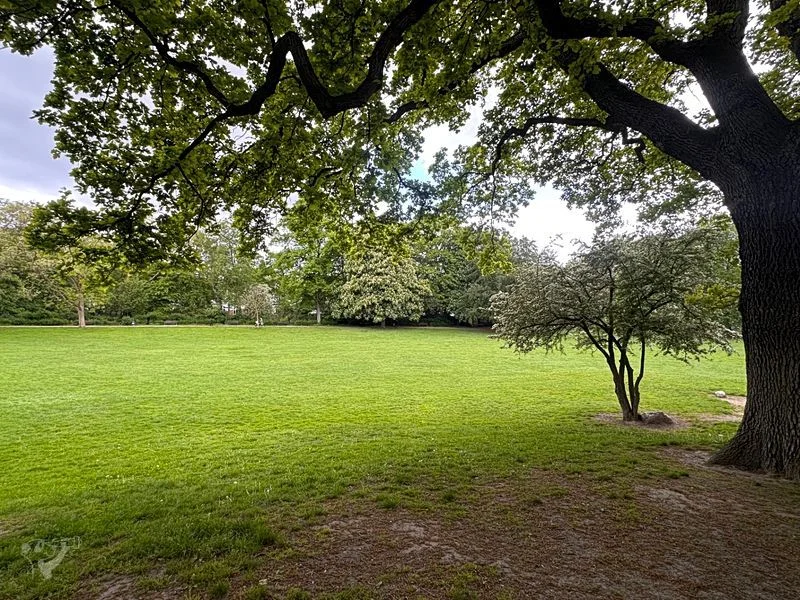 Spielplatz Parkallee im Innocentiapark – Bild 18