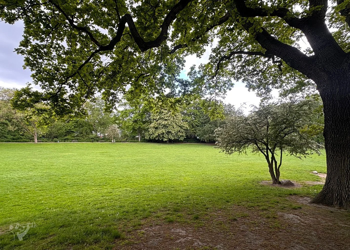 Spielplatz Parkallee im Innocentiapark – Foto 18