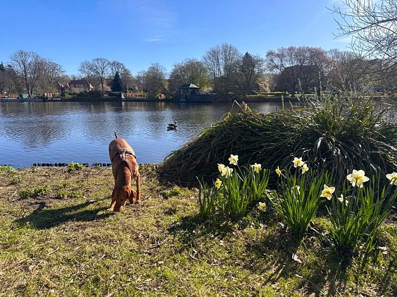 Hayns Park – Bild 13