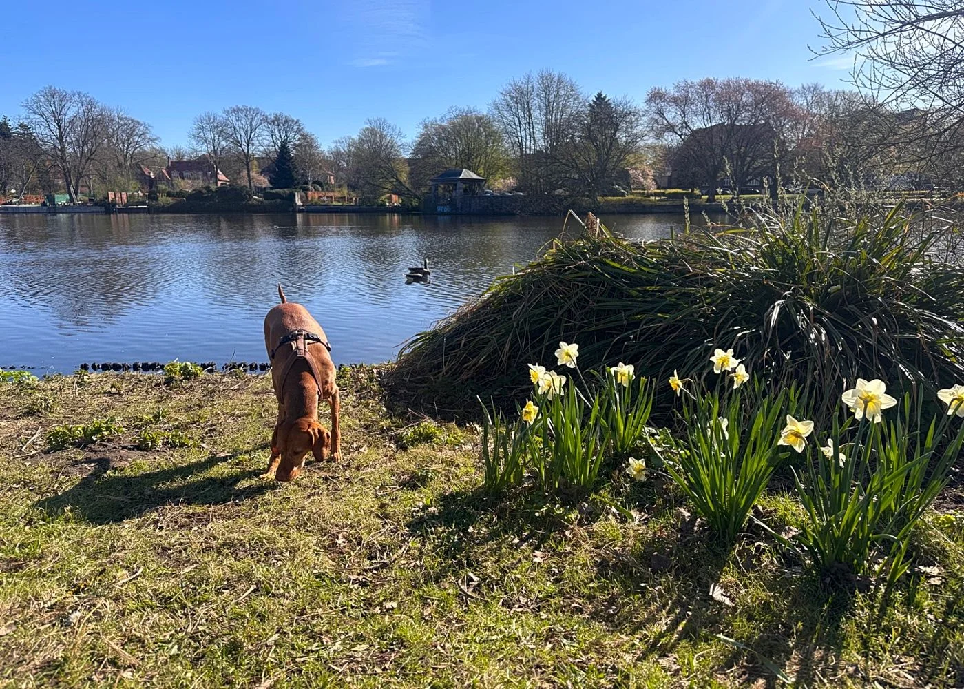 Hayns Park – Foto 13