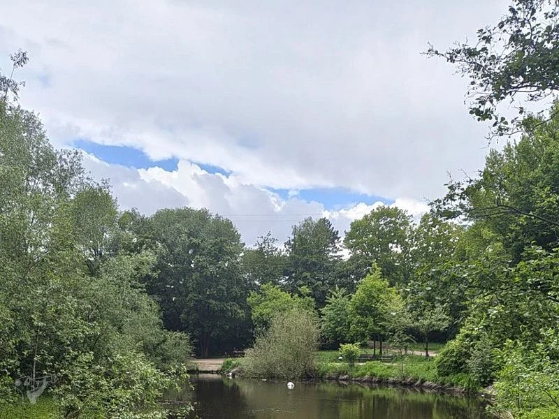 Eppendorfer Mühlenteich – Bild 5