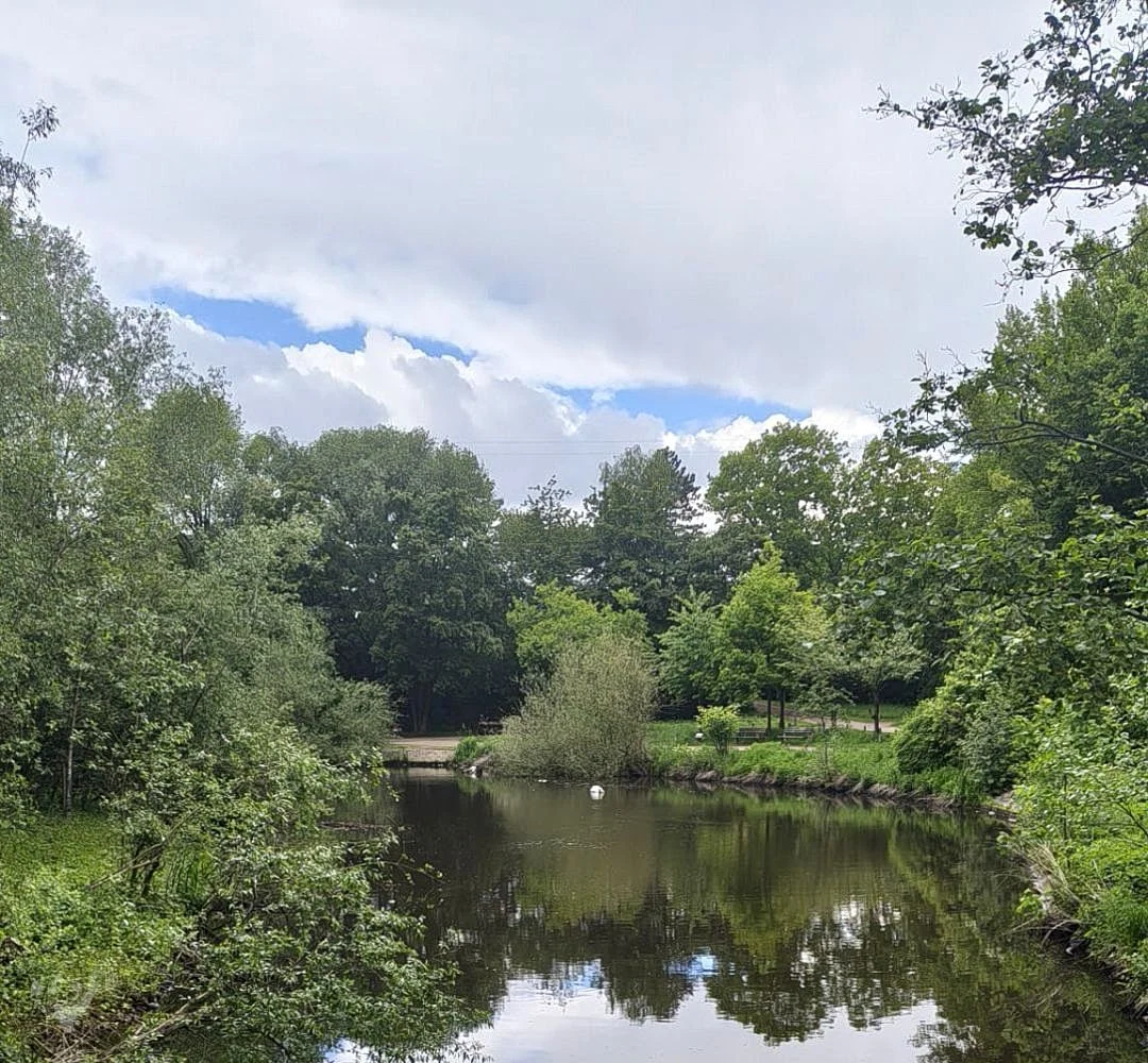 Eppendorfer Mühlenteich – Foto 4