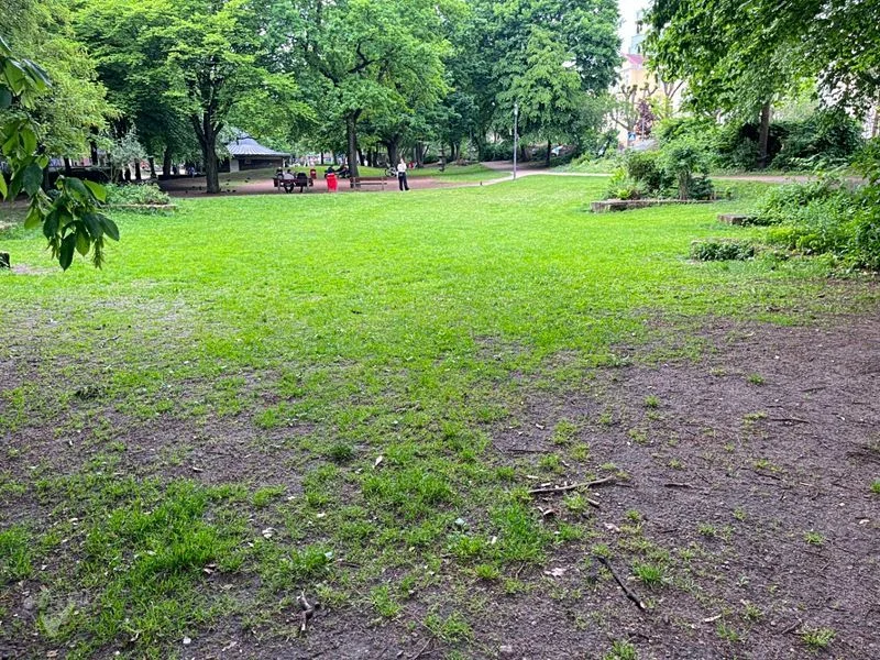 Lohmühlenpark St.Georg – Bild 16