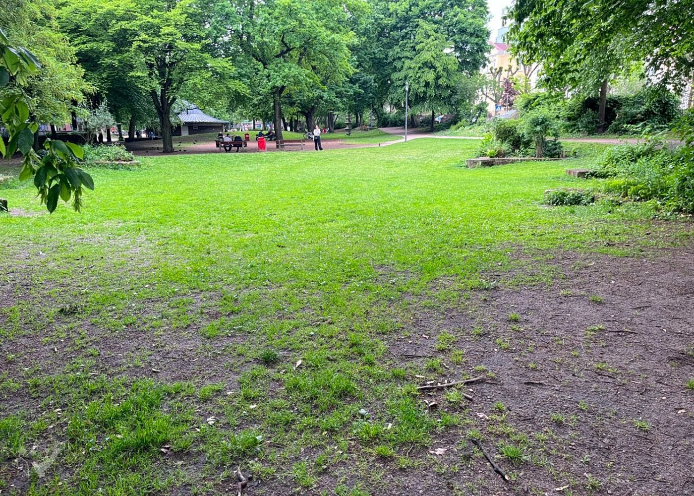 Lohmühlenpark St.Georg – Foto 14