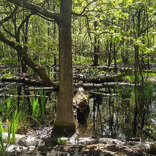 Naturschutzgebiet Raakmoor