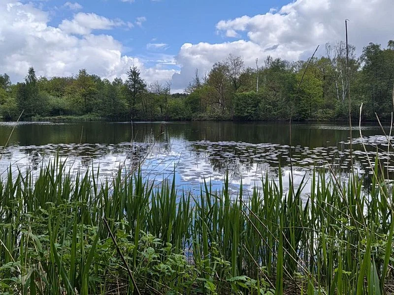 Naturschutzgebiet Raakmoor – Bild 2