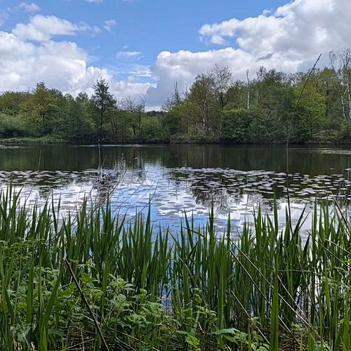 Naturschutzgebiet Raakmoor