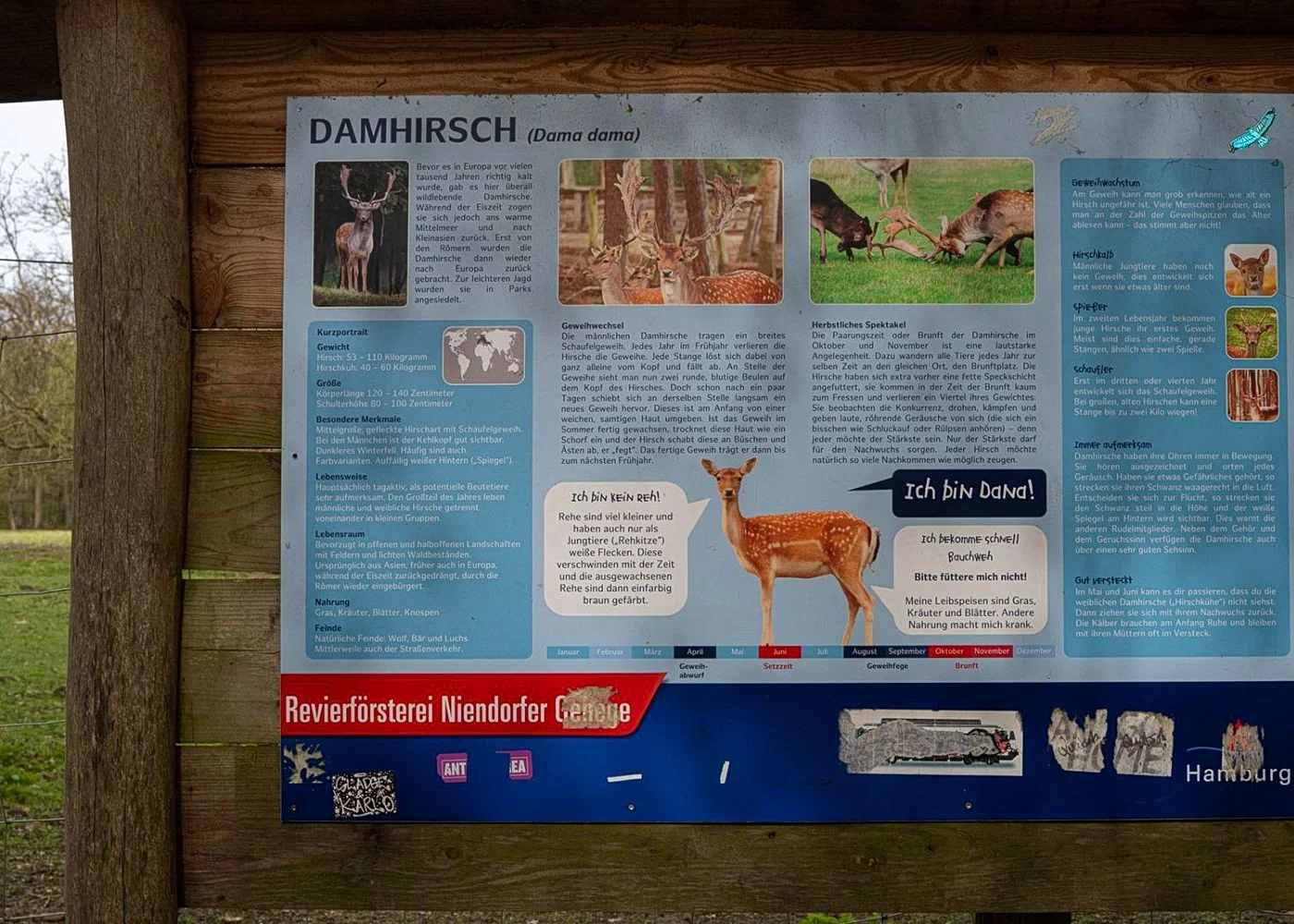 Niendorfer Gehege Lehrpfad – Foto 3