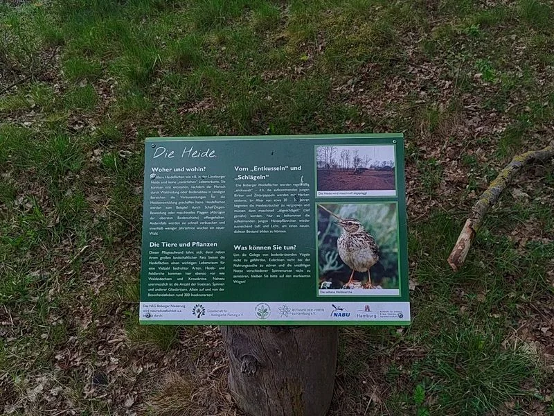 Boberger Niederung und Strand – Bild 14