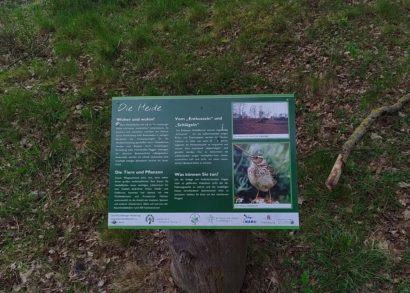 Boberger Niederung und Strand – Foto 14