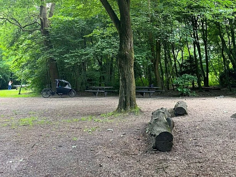 Waldspielplatz Teutonenweg (Pilzspielplatz) - der Schattenspender – Bild 15