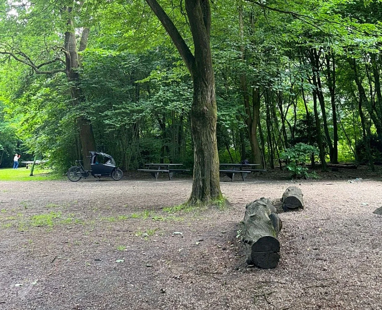 Waldspielplatz Teutonenweg (Pilzspielplatz) - der Schattenspender – Foto 15