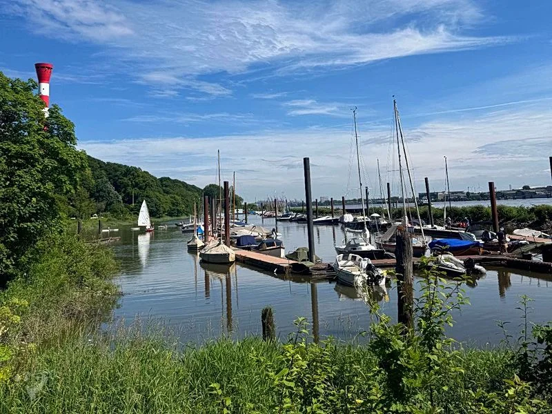 Baumschaukeln an der Elbe – Bild 20