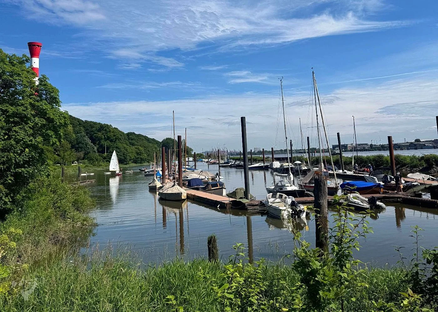 Baumschaukeln an der Elbe – Foto 20
