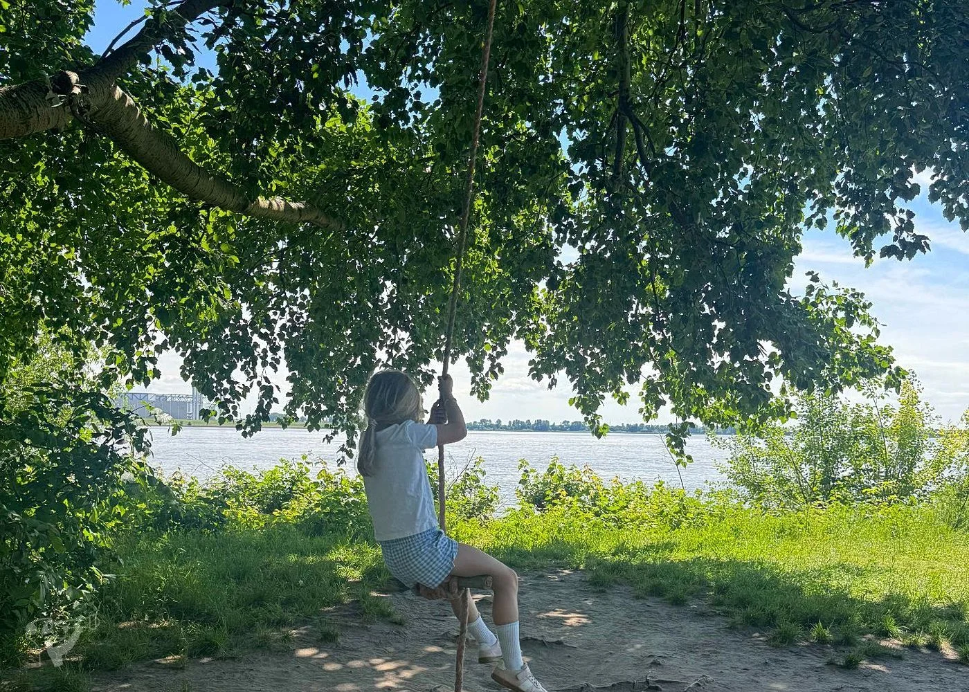 Baumschaukeln an der Elbe – Foto 3