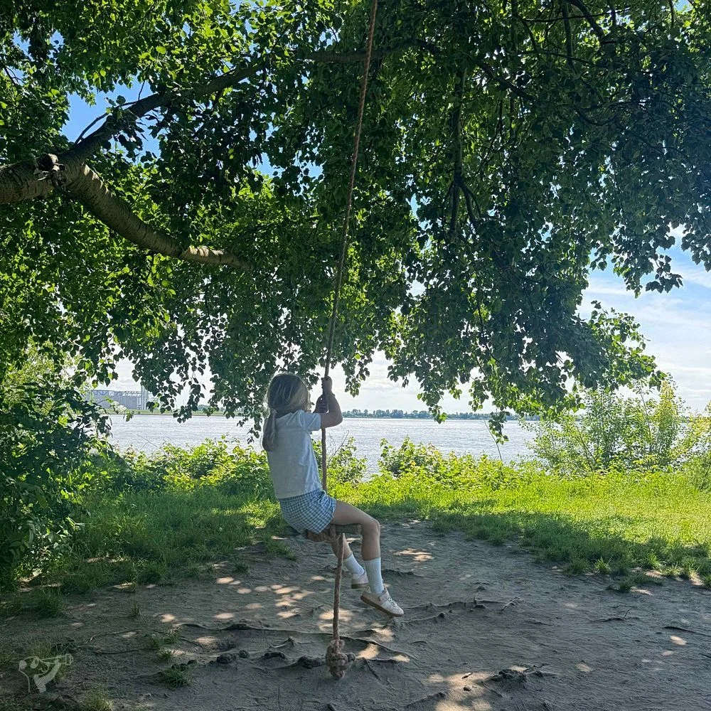 Baumschaukeln an der Elbe