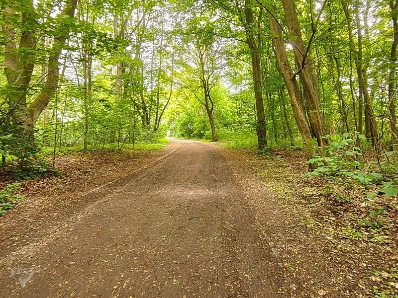 Öjendorfer Park – Bild 19