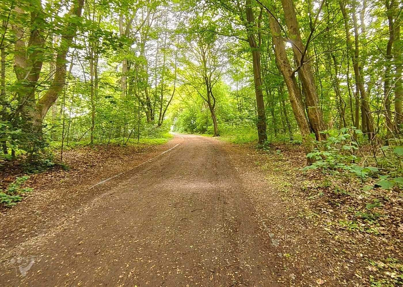 Öjendorfer Park – Foto 19