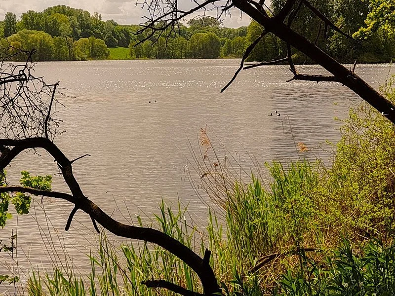 Öjendorfer Park – Bild 17