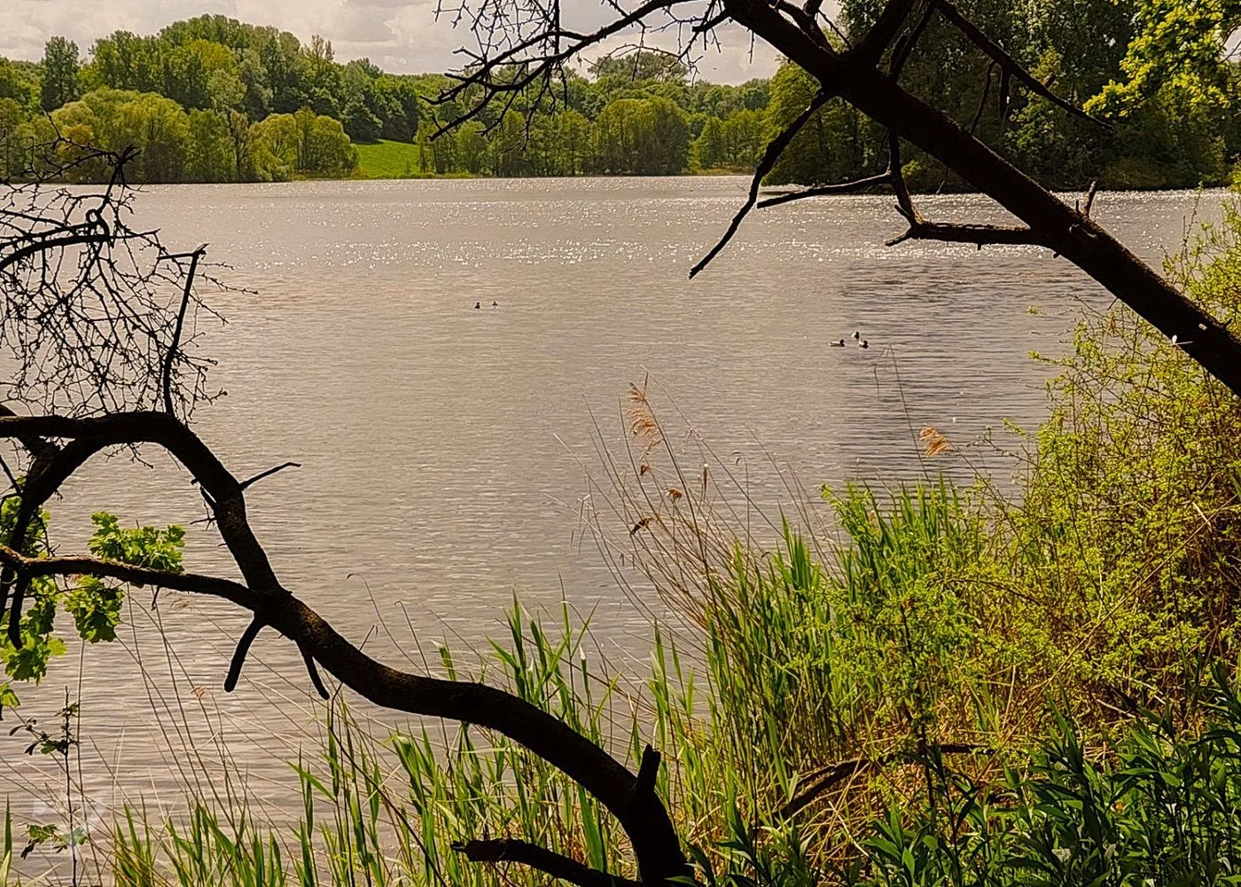 Öjendorfer Park – Foto 17