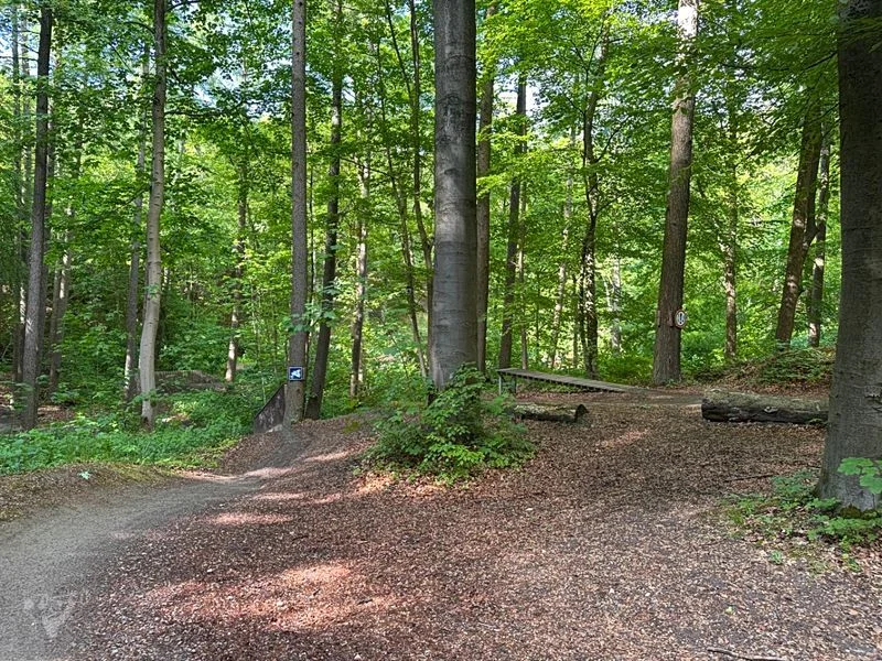 Bikepark Volkspark – Bild 23