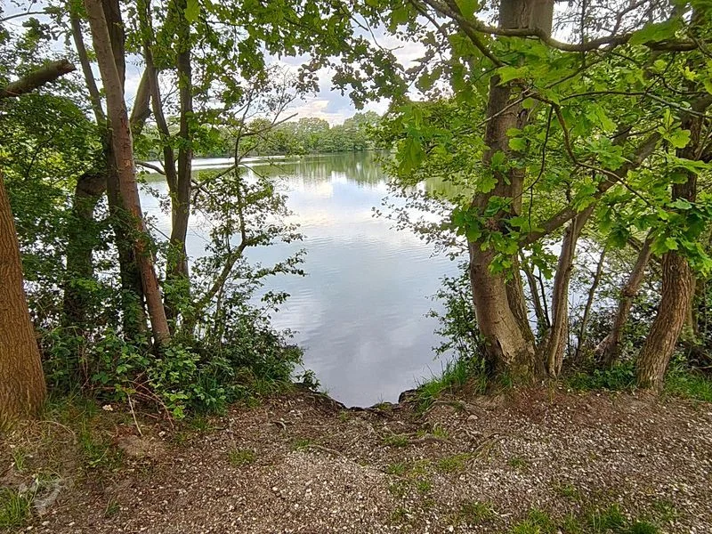 Boberger Niederung und Strand – Bild 3