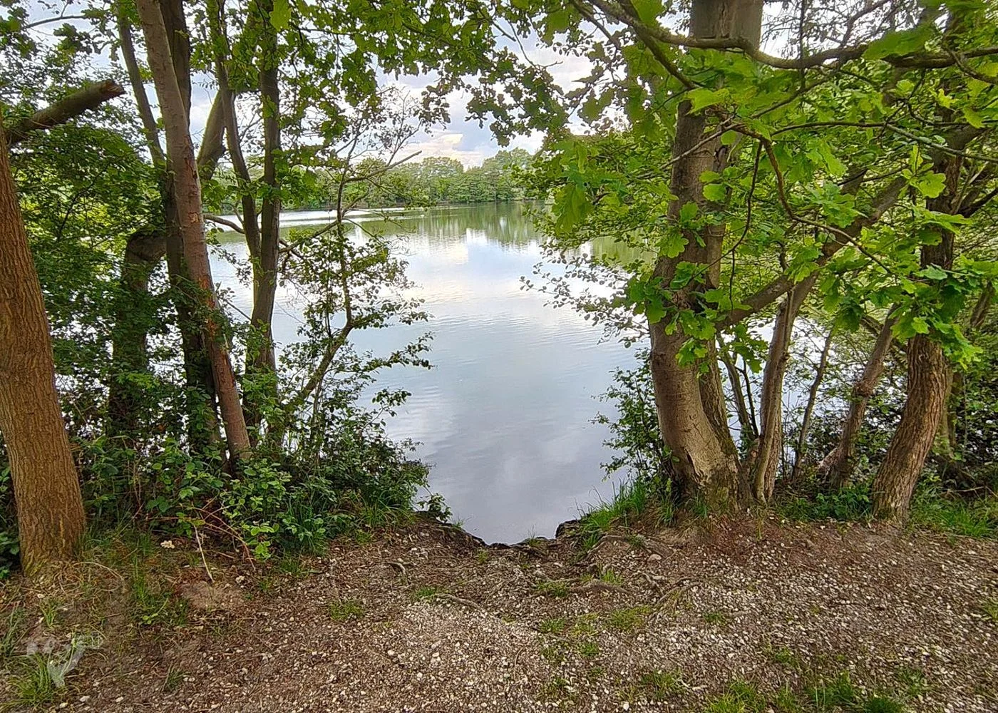 Boberger Niederung und Strand – Foto 3