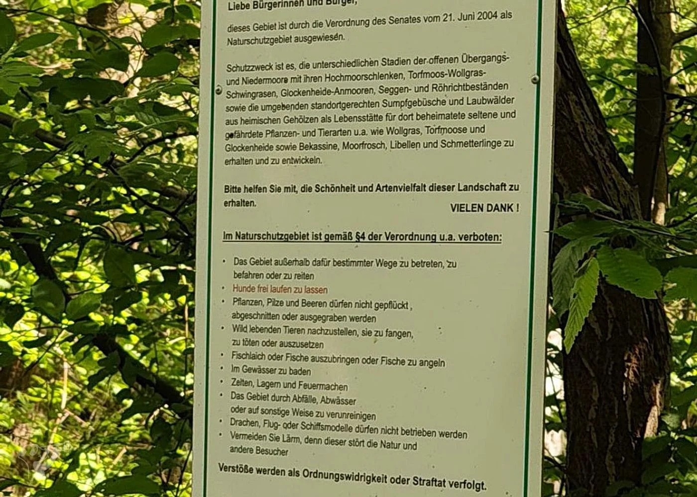 Naturschutzgebiet Raakmoor – Foto 13