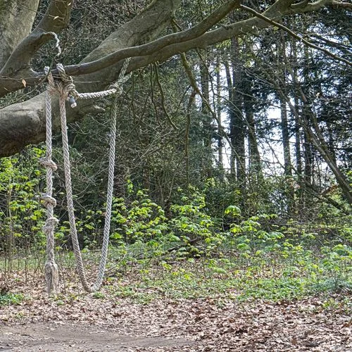 Drachenschlucht Wellingsbüttel