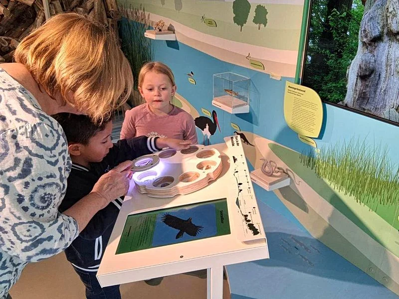 NaturRaum HafenCity - Zwischen Elbe und Asphalt – Bild 3