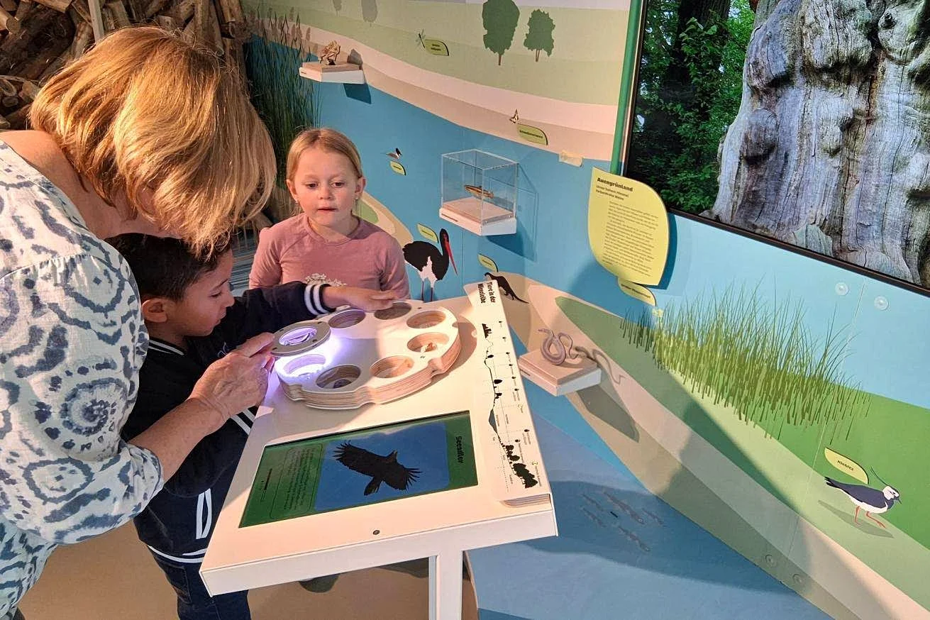 NaturRaum HafenCity - Zwischen Elbe und Asphalt